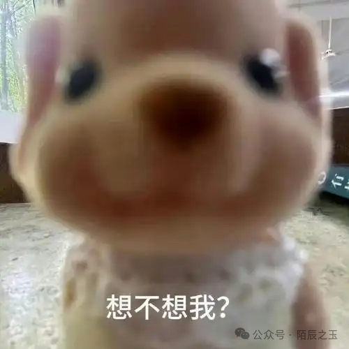 图片[2]-语音转文字，轻松挣美金，1天收入88美刀，0门槛，每周收米1次，小白专属