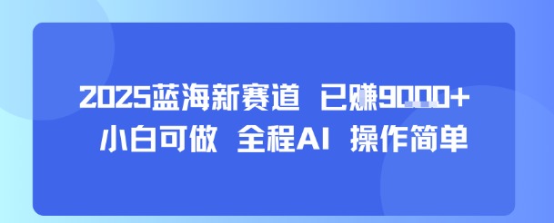 2025蓝海新赛道 已挣9k+ 小白可做 全程AI 操作简单-狂人资源网