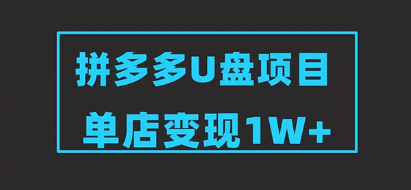 2025版拼多多冷门虚拟U盘项目玩法，单店铺月变现1w+，稳赚不赔！-狂人资源网