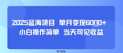 2025蓝海项目 单月变现6k+ 小白操作简单 当天可见收益-狂人资源网
