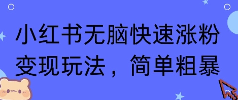 小红书无脑快速涨粉变现玩法，简单粗暴-狂人资源网