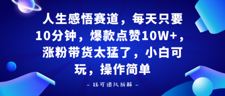 人生感悟赛道，每天只要十分钟，爆款点赞10W+，涨粉带货太猛了，小白可玩，操作简单-狂人资源网