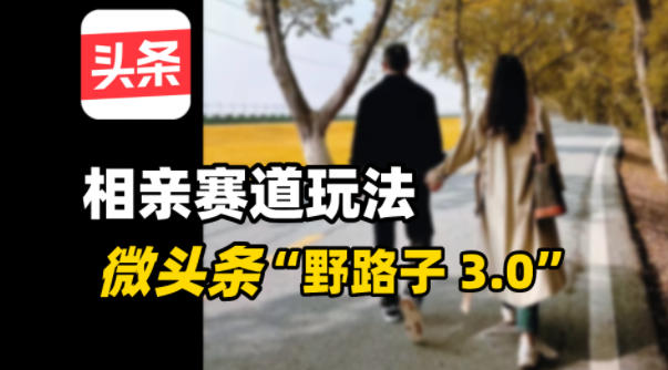 微头条“野路子3.0”相亲赛道玩法，搬砖式操作单号稳定300+-狂人资源网