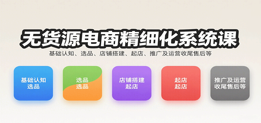 无货源电商精细化系统课：基础认知、选品、店铺搭建、起店、推广及运营 ...